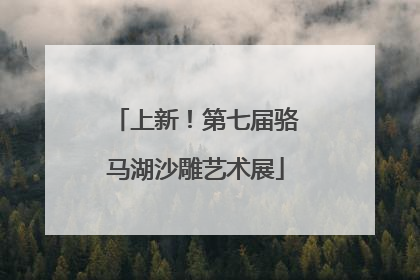 上新！第七届骆马湖沙雕艺术展