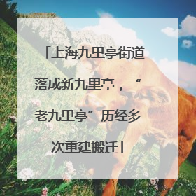 上海九里亭街道落成新九里亭，“老九里亭”历经多次重建搬迁
