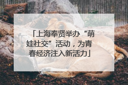 上海奉贤举办“萌娃社交”活动，为青春经济注入新活力