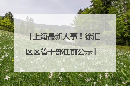 上海最新人事！徐汇区区管干部任前公示