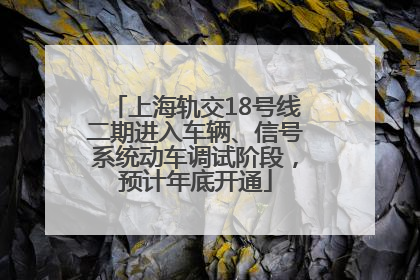 上海轨交18号线二期进入车辆、信号系统动车调试阶段，预计年底开通