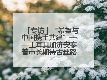 专访丨“希望与中国携手共建”——土耳其加济安泰普市长期待古丝路重镇焕发新活力