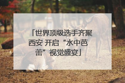 世界顶级选手齐聚西安 开启“水中芭蕾”视觉盛宴