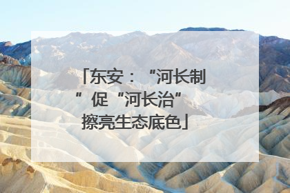 东安：“河长制”促“河长治” 擦亮生态底色