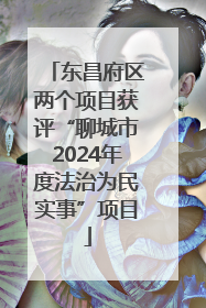 东昌府区两个项目获评“聊城市2024年度法治为民实事”项目
