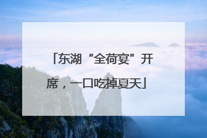 东湖“全荷宴”开席，一口吃掉夏天