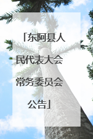 东阿县人民代表大会常务委员会公告