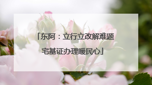 东阿：立行立改解难题 宅基证办理暖民心