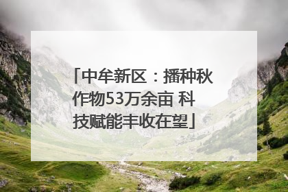 中牟新区：播种秋作物53万余亩 科技赋能丰收在望