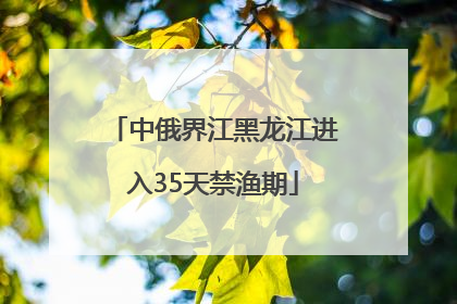 中俄界江黑龙江进入35天禁渔期