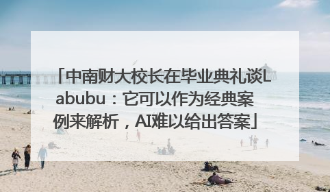 中南财大校长在毕业典礼谈Labubu：它可以作为经典案例来解析，AI难以给出答案