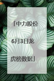 中力股份6月3日龙虎榜数据