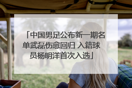 中国男足公布新一期名单武磊伤愈回归 入籍球员杨明洋首次入选