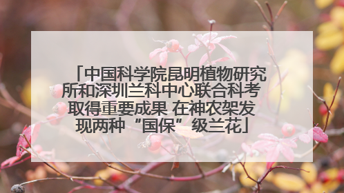 中国科学院昆明植物研究所和深圳兰科中心联合科考取得重要成果 在神农架发现两种“国保”级兰花