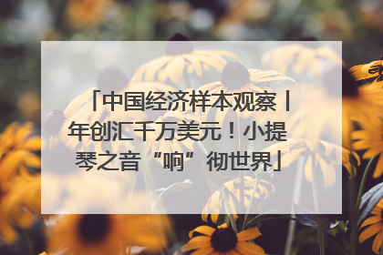 中国经济样本观察丨年创汇千万美元！小提琴之音“响”彻世界