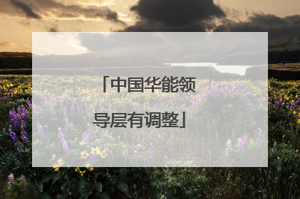 中国华能领导层有调整