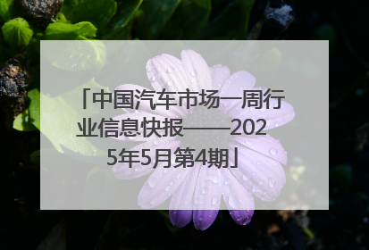 中国汽车市场一周行业信息快报——2025年5月第4期