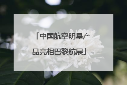 中国航空明星产品亮相巴黎航展