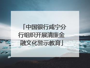 中国银行咸宁分行组织开展清廉金融文化警示教育