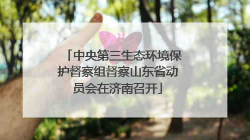 中央第三生态环境保护督察组督察山东省动员会在济南召开