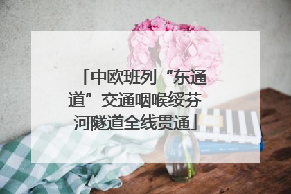 中欧班列“东通道”交通咽喉绥芬河隧道全线贯通