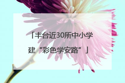 丰台近30所中小学建“彩色学安路”