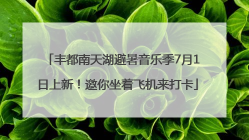 丰都南天湖避暑音乐季7月1日上新！邀你坐着飞机来打卡