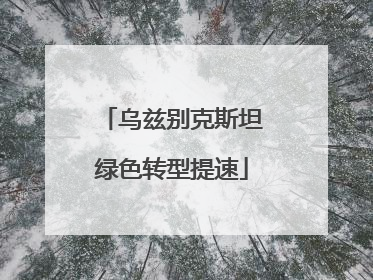 乌兹别克斯坦绿色转型提速