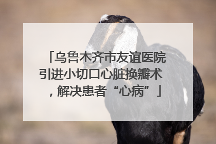 乌鲁木齐市友谊医院引进小切口心脏换瓣术，解决患者“心病”