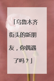 乌鲁木齐街头的新朋友，你偶遇了吗？