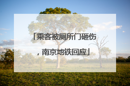 乘客被厕所门砸伤，南京地铁回应