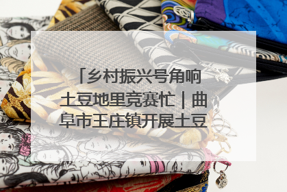 乡村振兴号角响 土豆地里竞赛忙｜曲阜市王庄镇开展土豆收获劳动竞赛