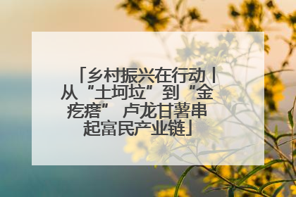 乡村振兴在行动丨从“土坷垃”到“金疙瘩” 卢龙甘薯串起富民产业链