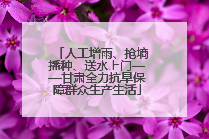 人工增雨、抢墒播种、送水上门——甘肃全力抗旱保障群众生产生活