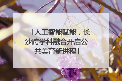 人工智能赋能，长沙跨学科融合开启公共美育新进程