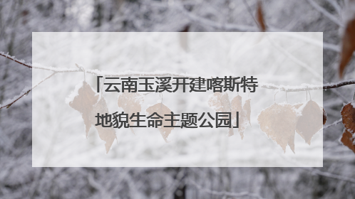 云南玉溪开建喀斯特地貌生命主题公园