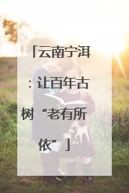 云南宁洱：让百年古树“老有所依”