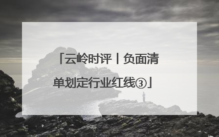 云岭时评丨负面清单划定行业红线③