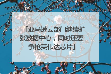 亚马逊云部门继续扩张数据中心，同时还要争抢英伟达芯片