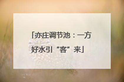 亦庄调节池：一方好水引“客”来