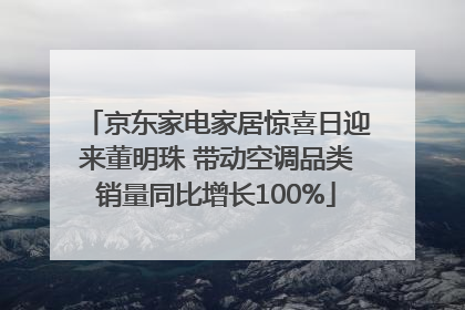 京东家电家居惊喜日迎来董明珠 带动空调品类销量同比增长100%