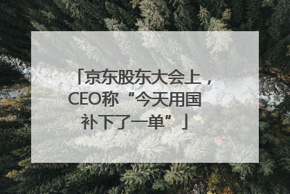京东股东大会上，CEO称“今天用国补下了一单”