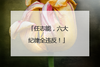 任志能，六大纪律全违反！
