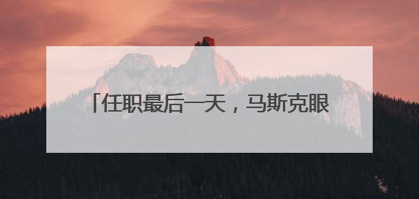 任职最后一天，马斯克眼角淤青出现在白宫……