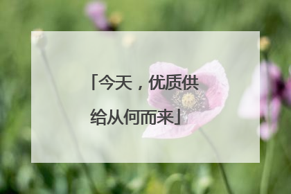 今天，优质供给从何而来