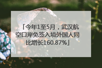 今年1至5月，武汉航空口岸免签入境外国人同比增长160.87%