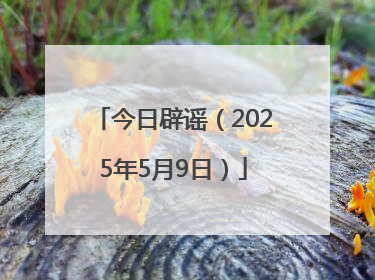 今日辟谣（2025年5月9日）