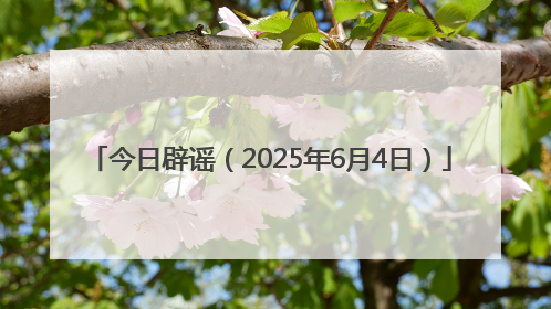 今日辟谣（2025年6月4日）