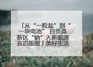 从“一粒盐”到“一块电池” 自贡高新区“钠”入新能源赛道版图丨美好生活有“盐”味