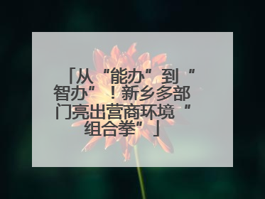从“能办”到“智办”！新乡多部门亮出营商环境“组合拳”